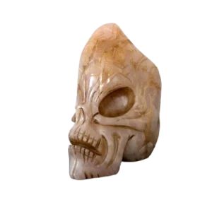 Ancient Crystal Skull