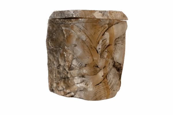 Ancient Pinecone - Image 7