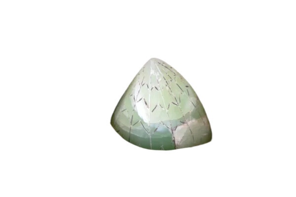 Ancient Pinecone - Image 5